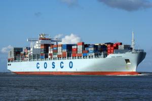 China Ocean Freight Forwarding Services to Brazil on sale 